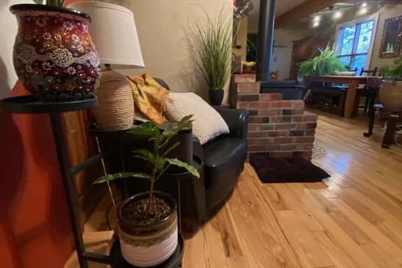 Pine View House - Image 1