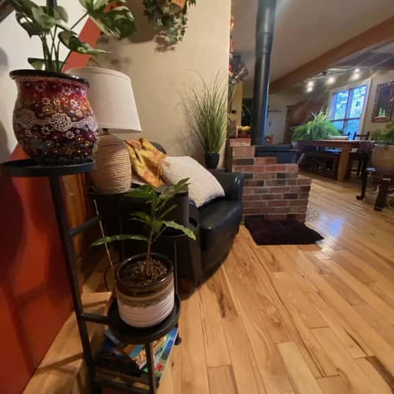 Pine View House - Image 1